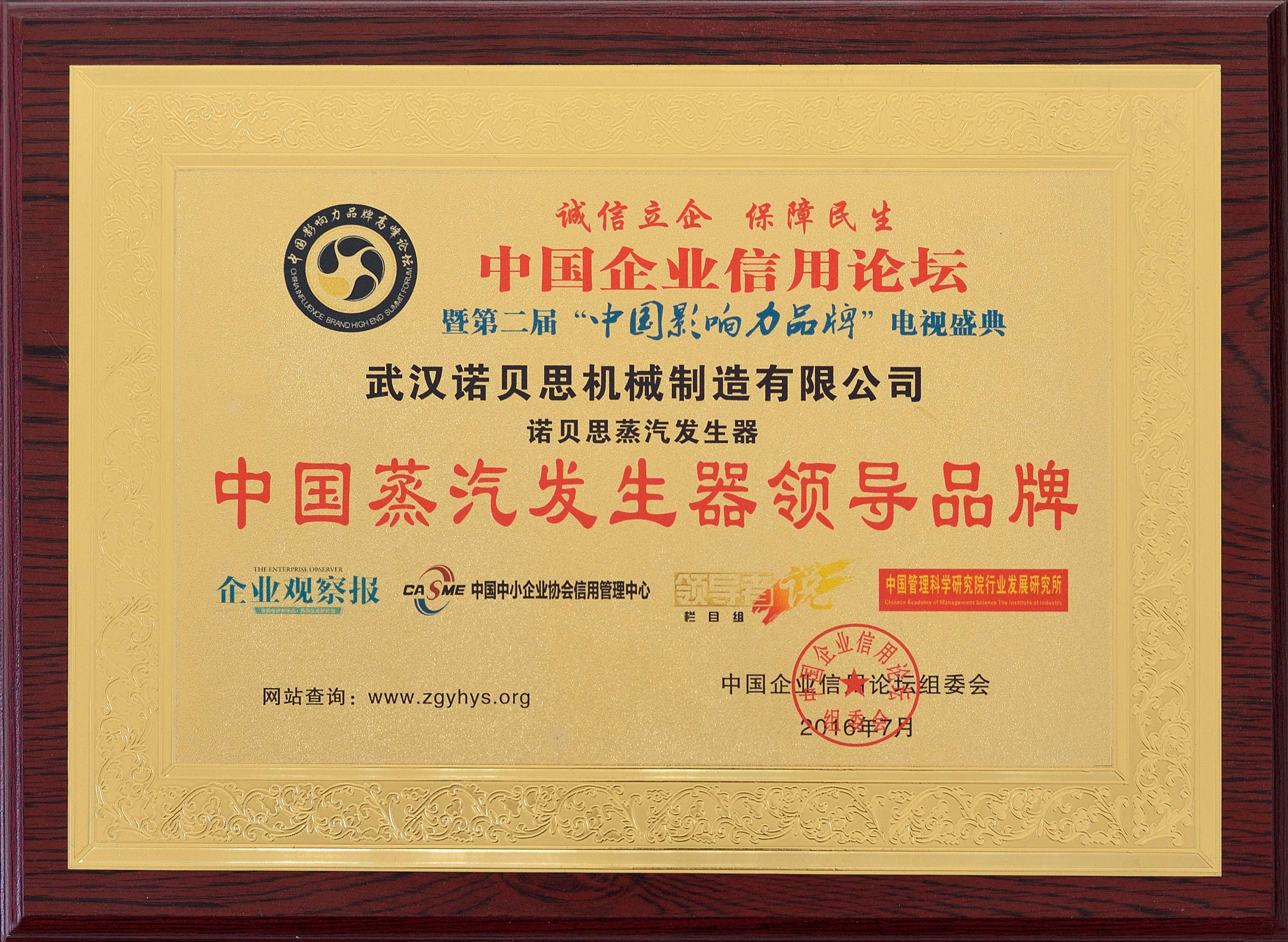 中國蒸汽發生器領導品牌