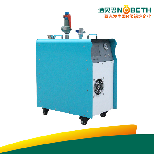 高溫清洗蒸汽發生器（NBS-1314）